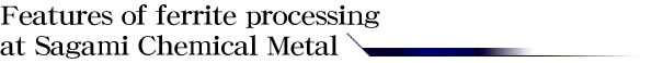 Features of ferrite processing at Sagami Chemical Metal